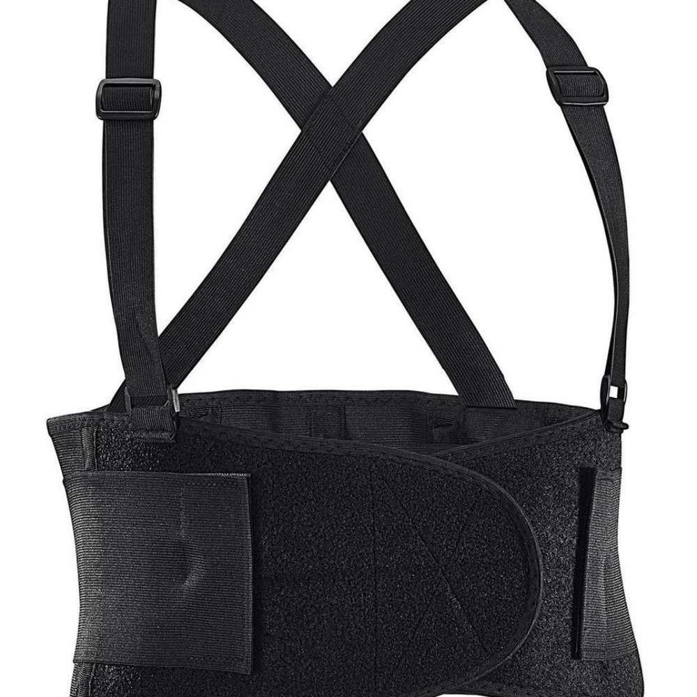 Classic Modern Adjustable Back Support Unit - image 1